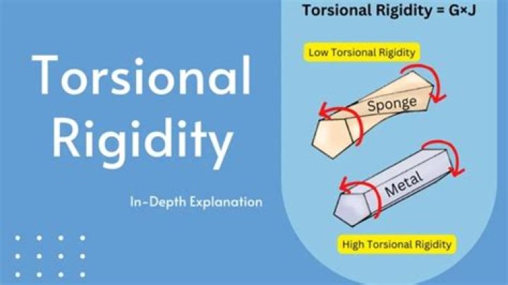 How is rigidity used in a sentence?