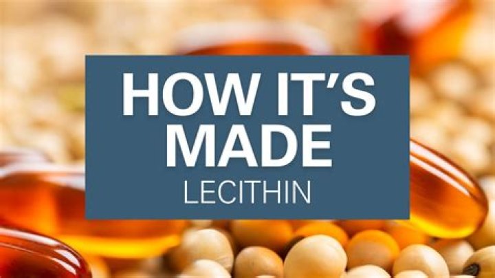 How lecithin is made?