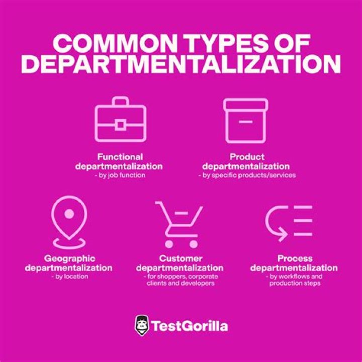 How many bases of departmentalization?