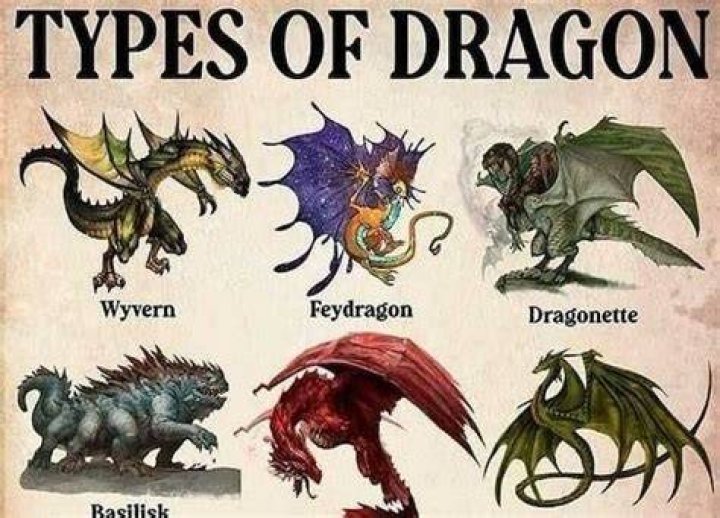 How many different types of dragons are there?