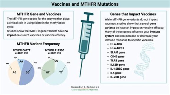 How much folate for mthfr?