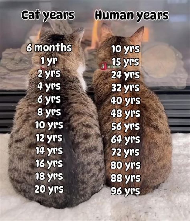 How old is heerlen?