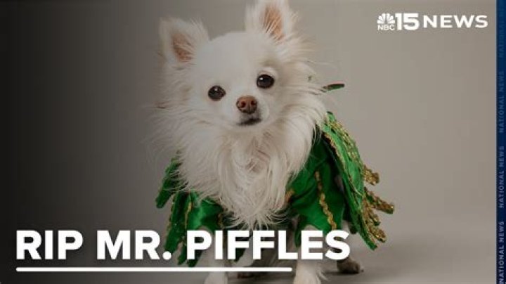 How old is mr piffles?
