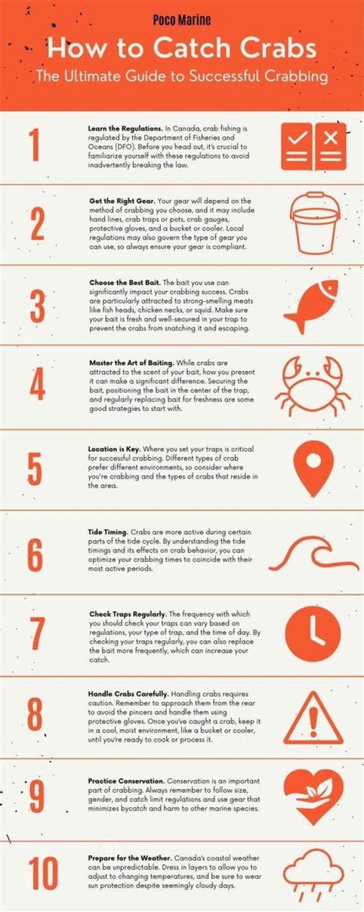 How to go crabbing on the beach?