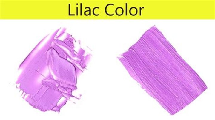 How to make lilac purple?