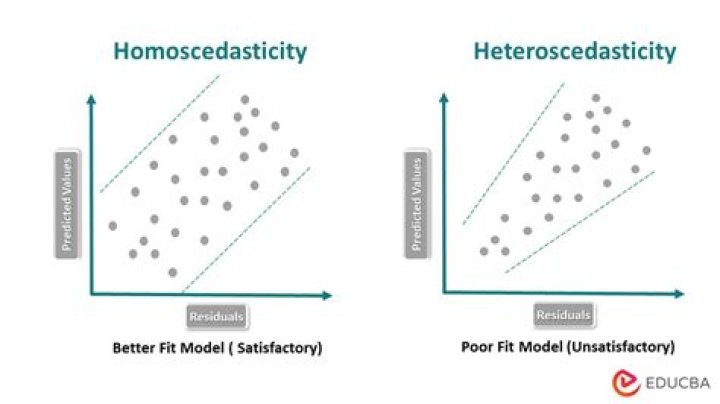 How to measure homoscedastic?