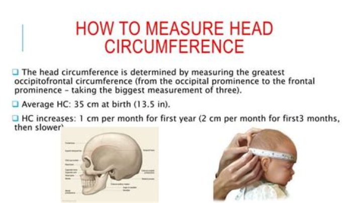 How to measure occipitofrontal circumference?