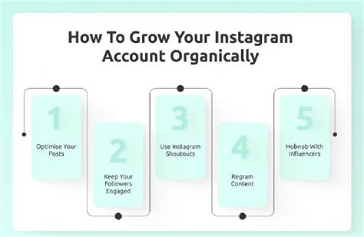 How to organically grow instagram?