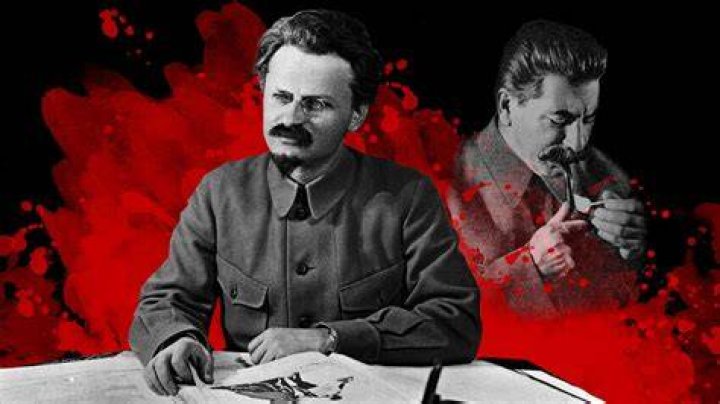 How trotsky was killed?