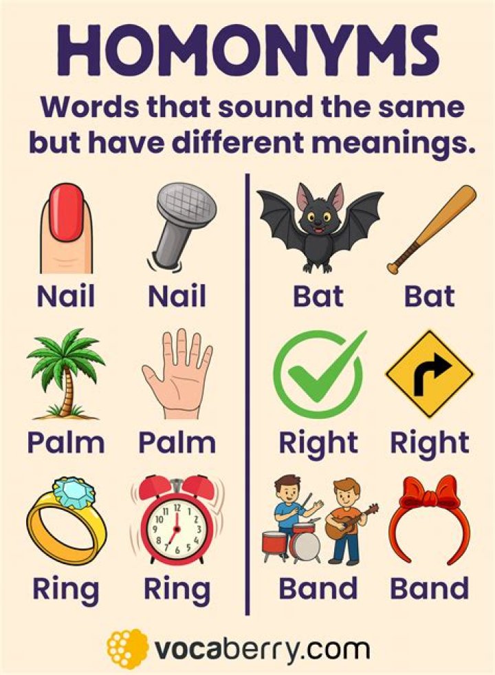 In english what is homonyms?