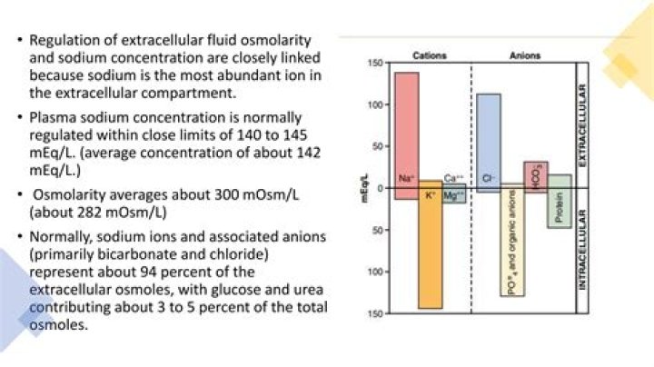 In extracellular fluid the most abundant cation is quizlet?