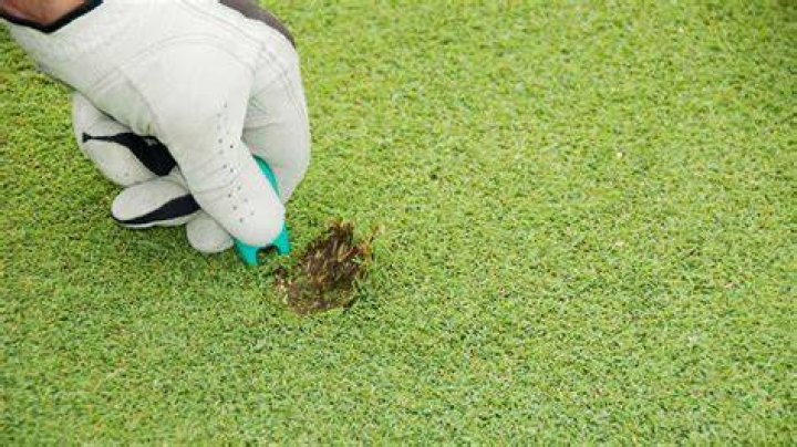 In golf a divot?