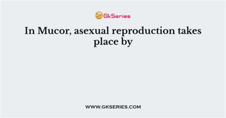 In mucor asexual reproduction takes place by?