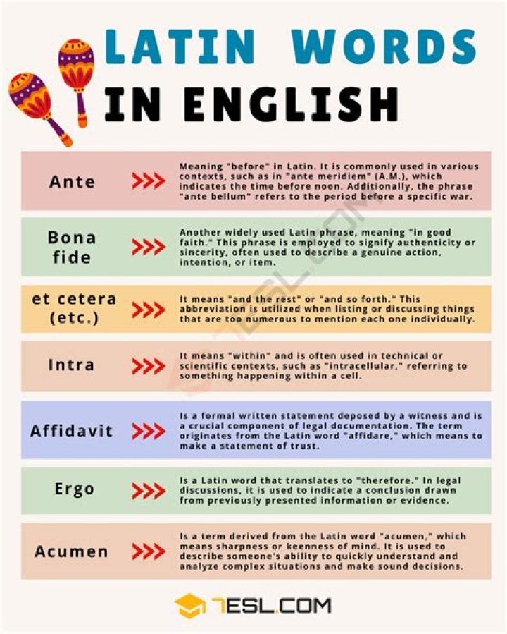 Intrans meaning in latin?