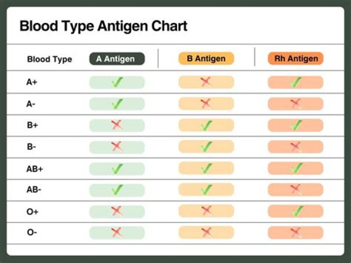 Is b neg blood rare?