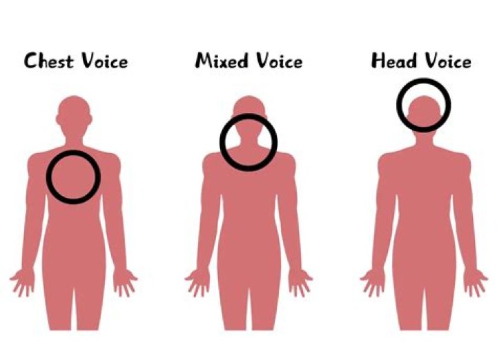 Is belting head voice?