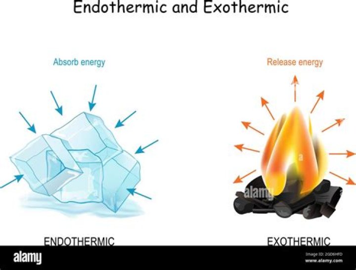 Is burning coal endothermic or exothermic?