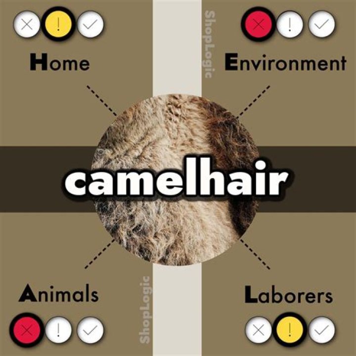 Is camel hair ethical?