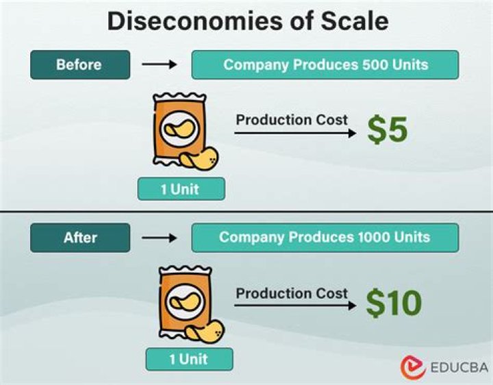 Is diseconomy of scale?