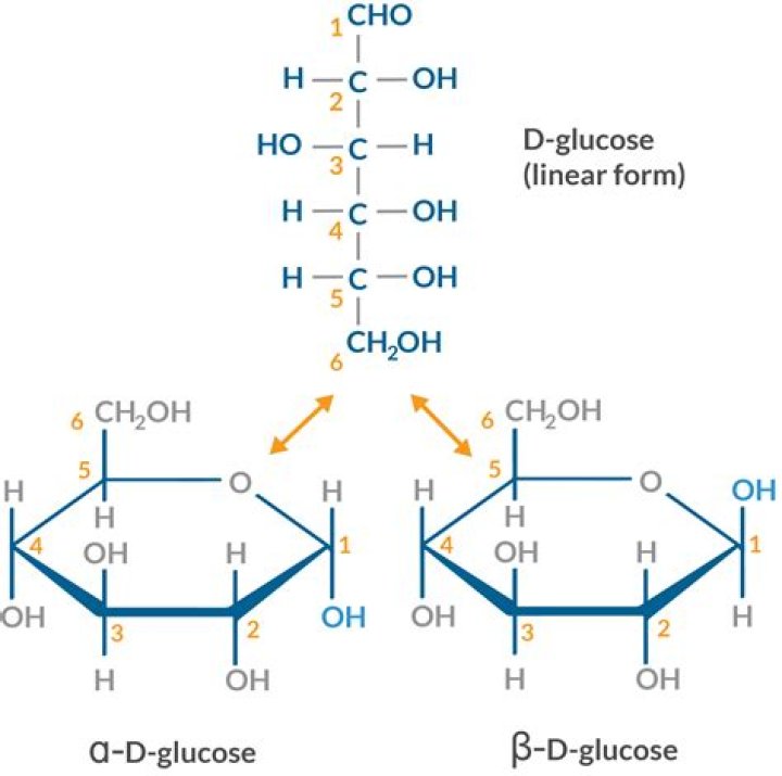 Is glucose a aldehyde?