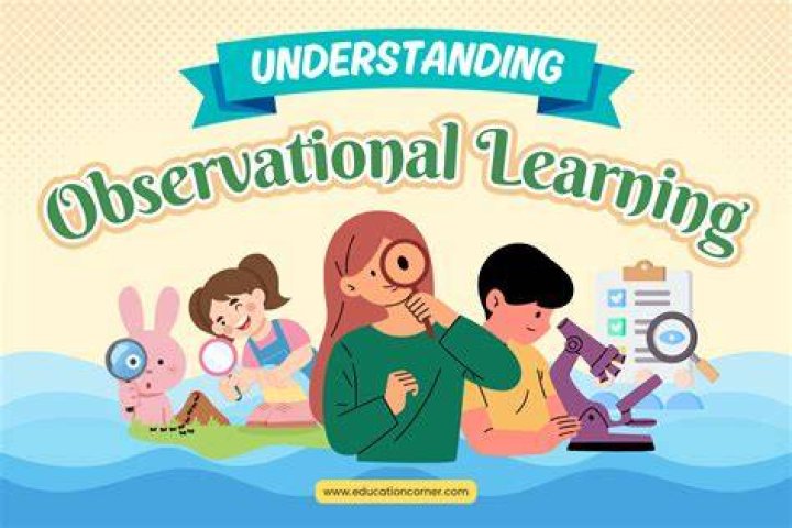 Is learning by observing others?