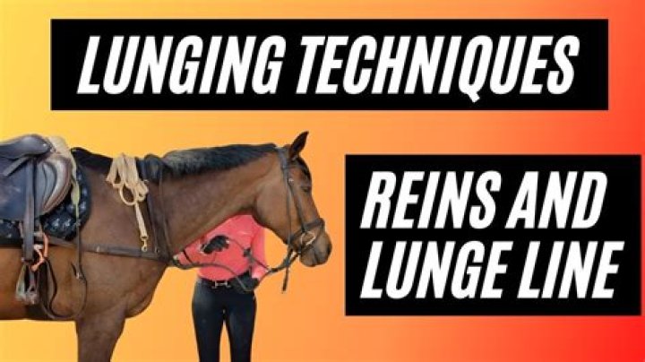 Is lunging a horse necessary?