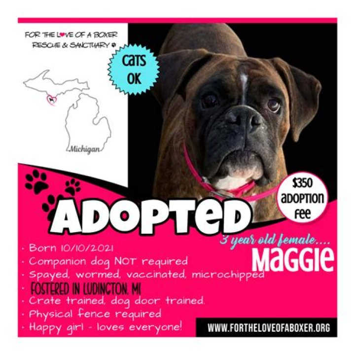 Is maggie macneil adopted?