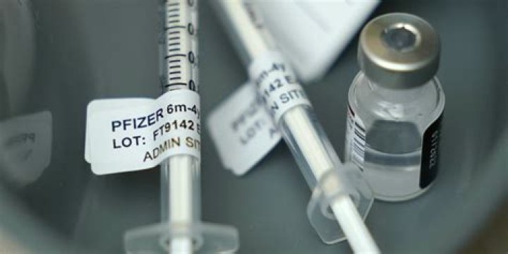 Is pfizer covid vaccine lyophilized?