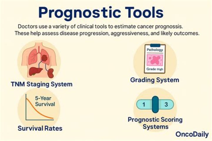 Is prognosis a verb?