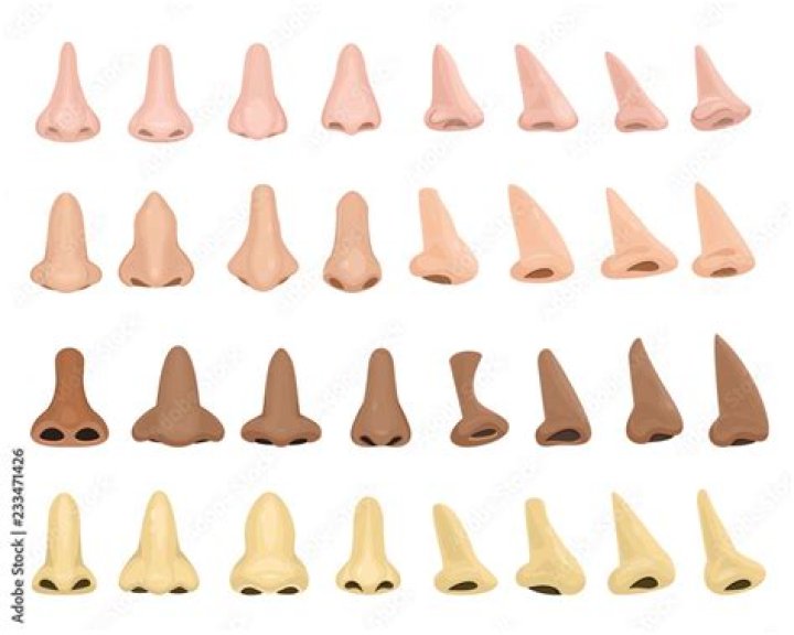 Is snub nose attractive?