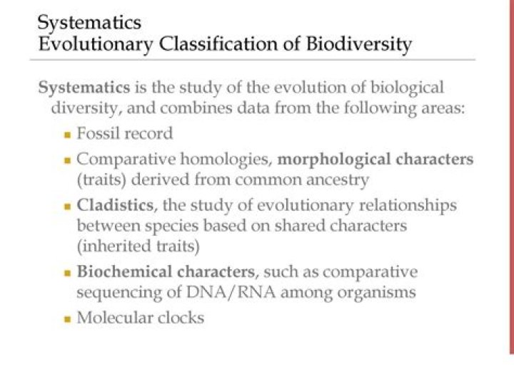 Is systematics the same as cladistics?