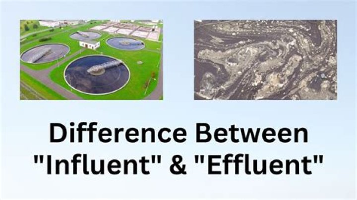 Is the word effluence a noun?