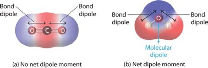 On the basis of dipole moment (molecular polarity)?