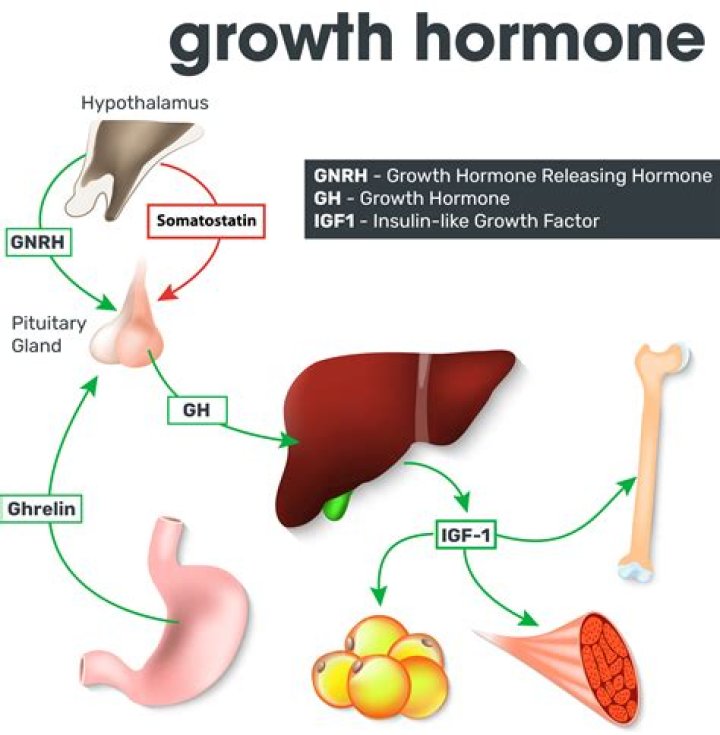 On the growth hormone?