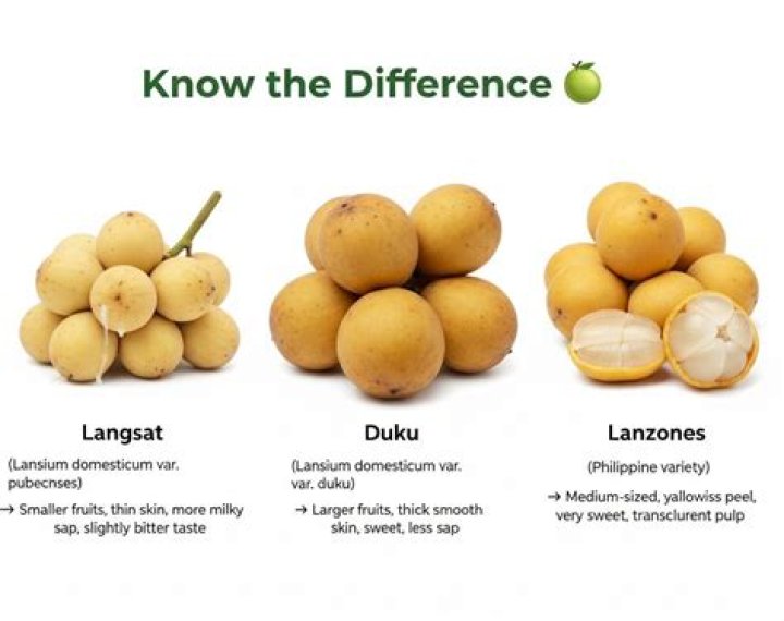 Should i wash tomatillos?