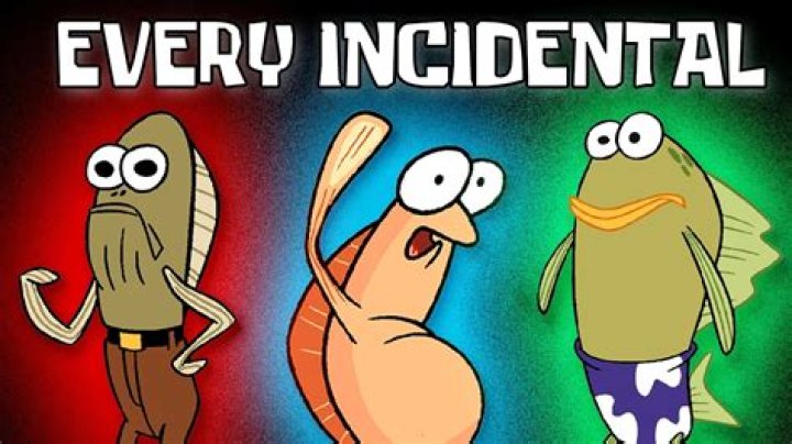 Was does incidental mean?