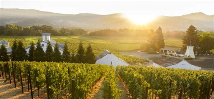 Was rombauer winery burned?