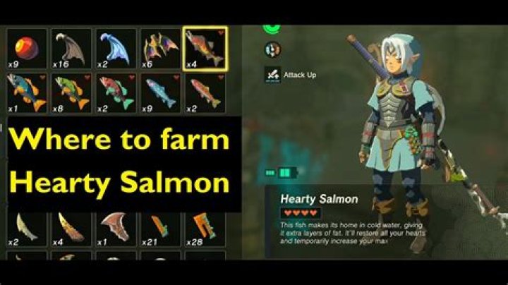 Were to find hearty salmon?