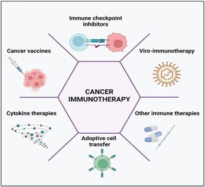 What's immunotherapy for cancer?
