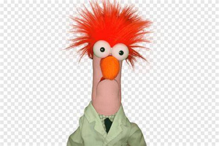 What animal is beaker?
