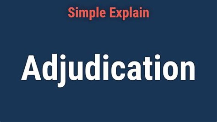 What are adjudications in prison?