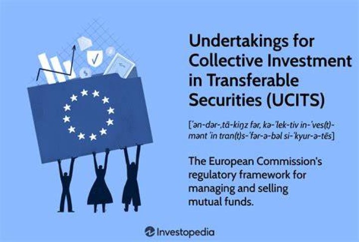 What are collective investment undertakings?