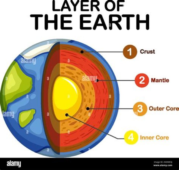 What are the three layers of the gastrula?
