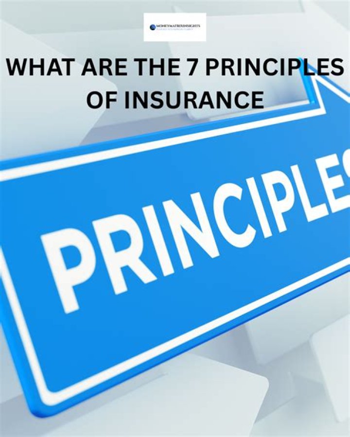 What are verdins principles?