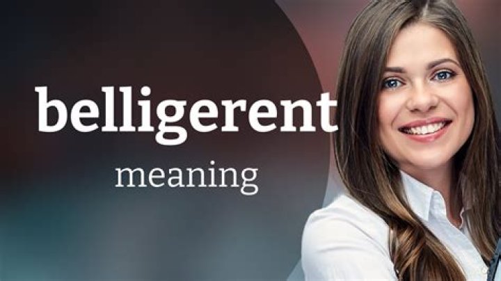 What does belligerents mean in english?