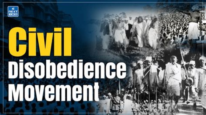 What does expedient mean in civil disobedience?