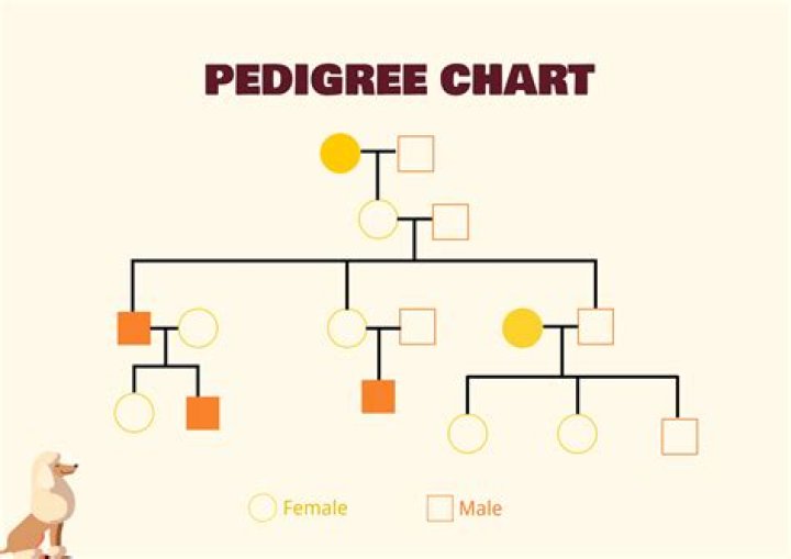 What does ftch in pedigree mean?
