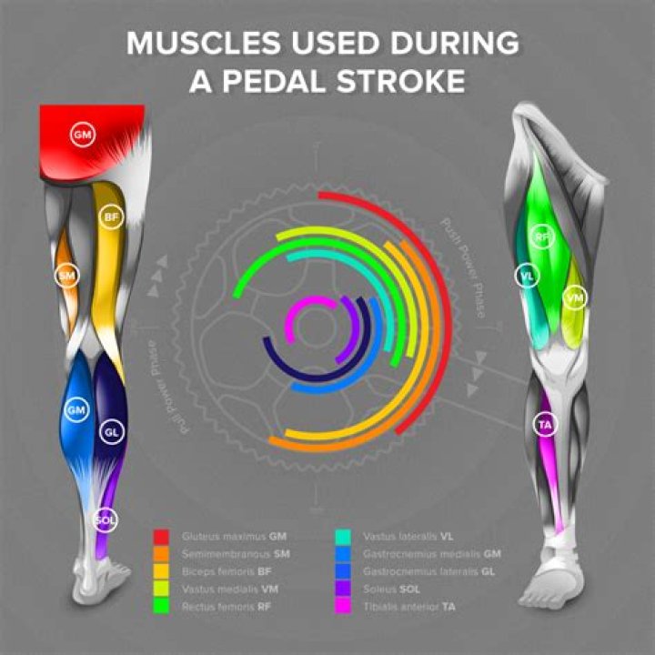 What does pedaling do for your body?