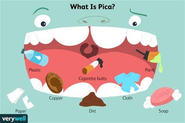 What does pica stand for?