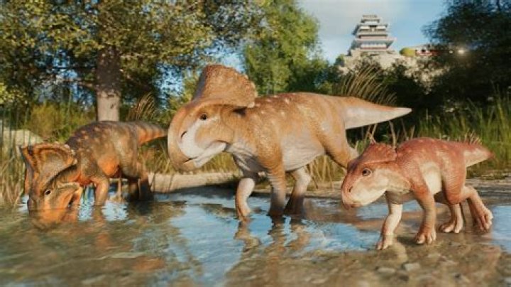 What does protoceratops mean in english?